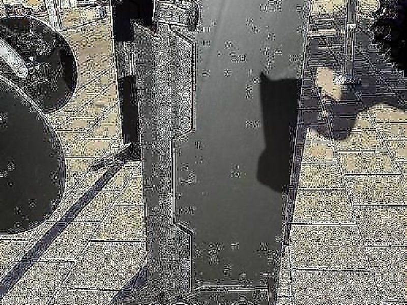 Evers Grasnarbenlocker und  für Acker