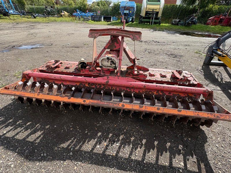 Maschio