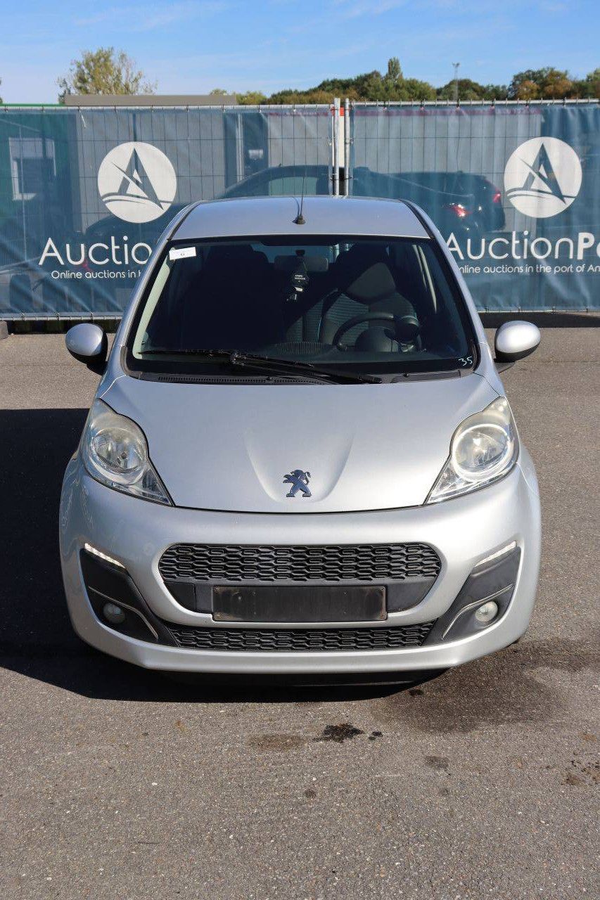Pkw Peugeot 107 Benzin 68 PS 2013 (Margin)