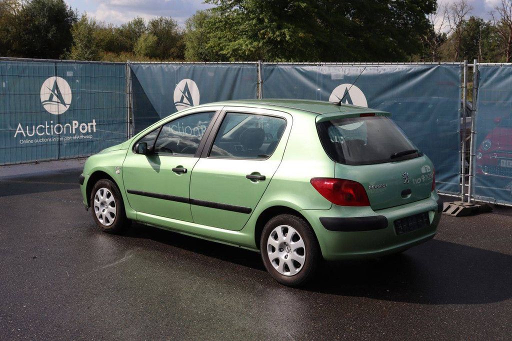 Passenger car Peugeot 307 Petrol 110hp 2004 (Margin)
