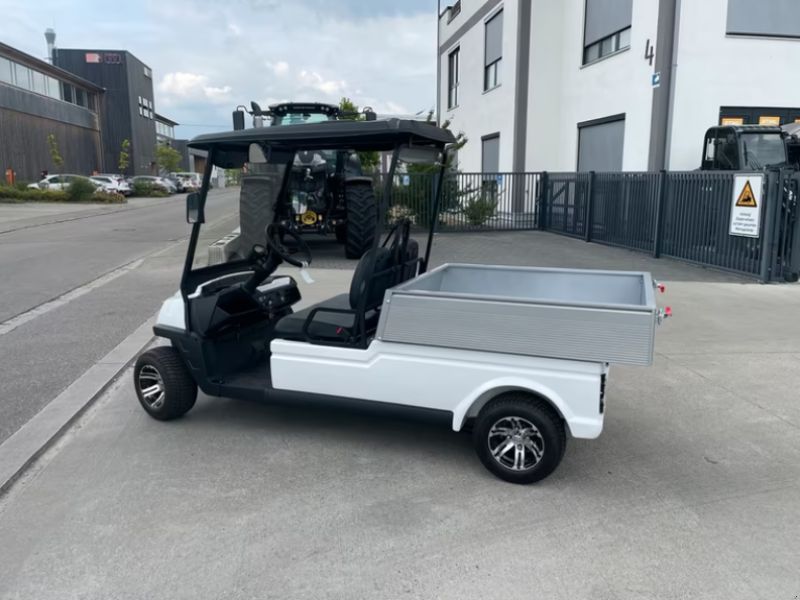 WSM Golf Carts