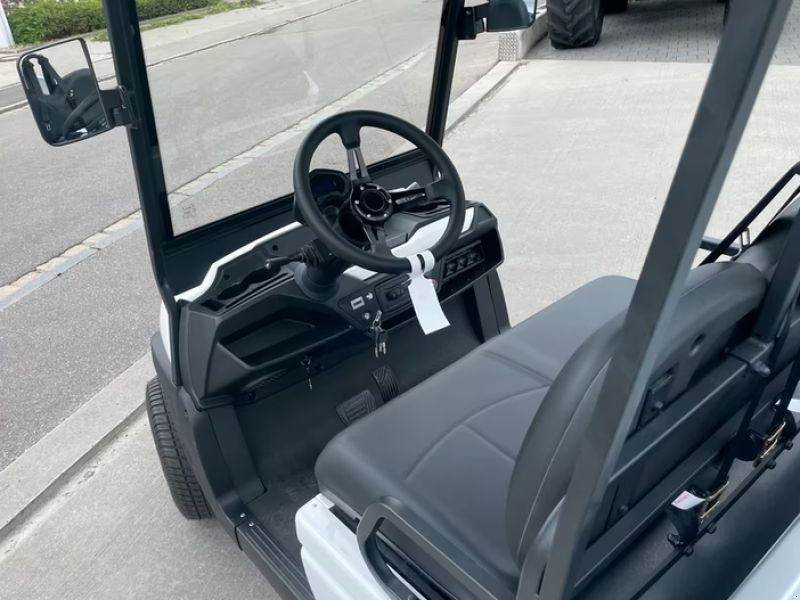 WSM Golf Carts