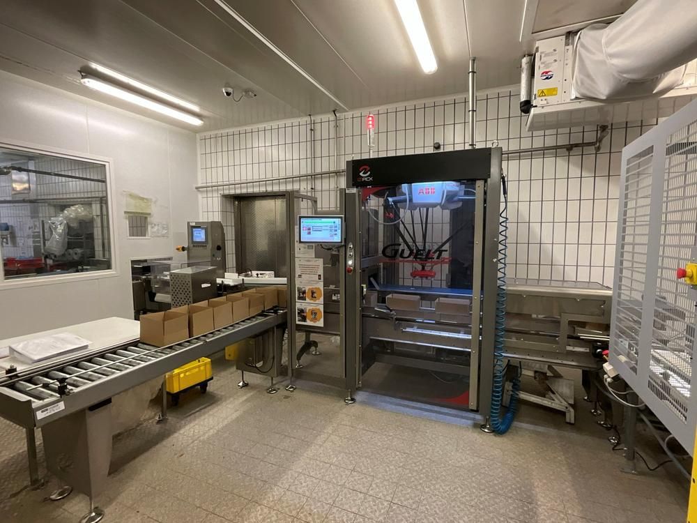2019 GUELT Izipick 114 Robotic Case Packing Machine