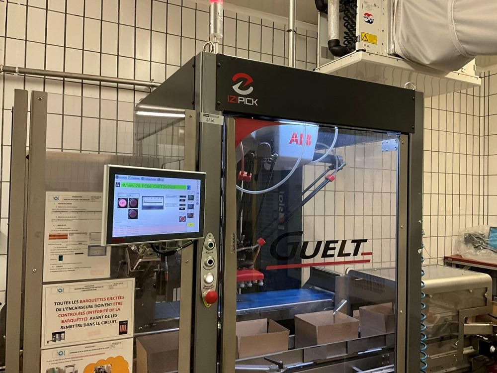 2019 GUELT Izipick 114 Robotic Case Packing Machine