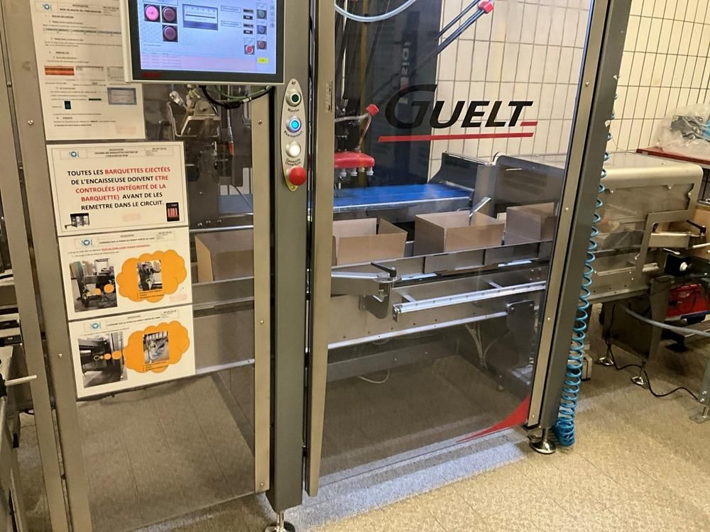 2019 GUELT Izipick 114 Robotic Case Packing Machine