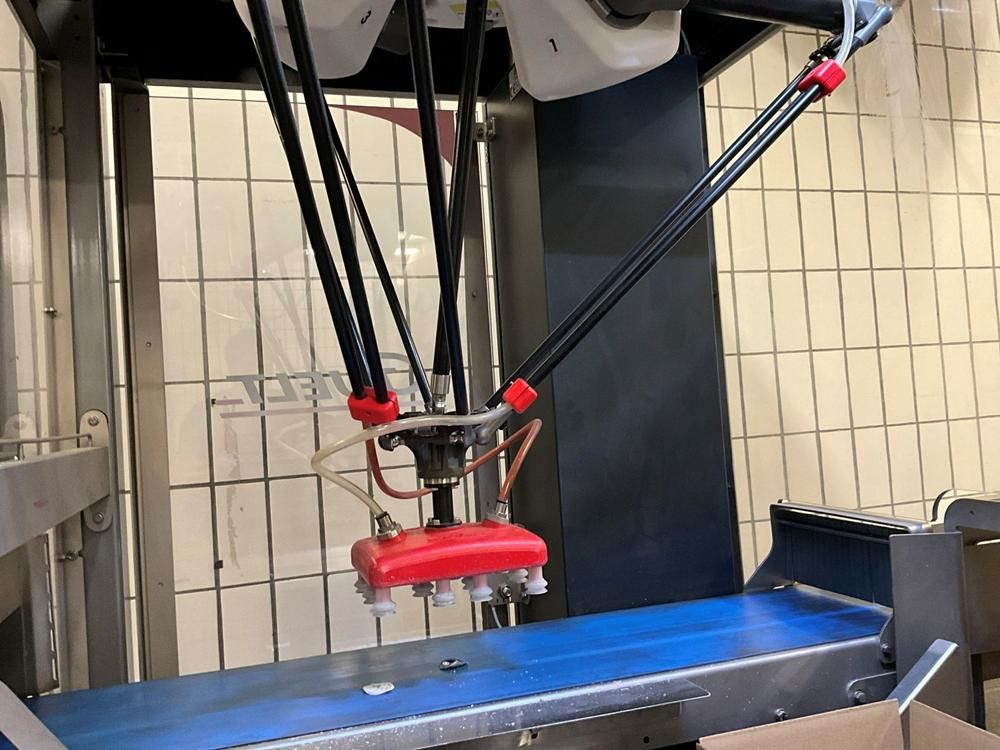2019 GUELT Izipick 114 Robotic Case Packing Machine