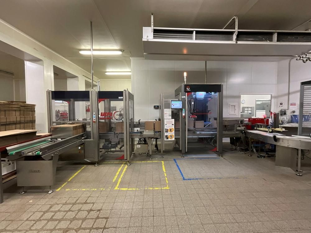 GUELT F110L - Izipick 115 GUELT – F110L / IZIPICK 115 Automatic Forming and Robotic Case-Packing Line with ABB FlexPicker Robot