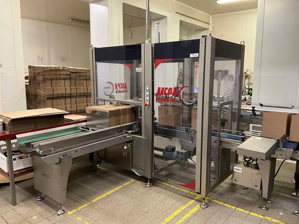 GUELT F110L - Izipick 115 GUELT – F110L / IZIPICK 115 Automatic Forming and Robotic Case-Packing Line with ABB FlexPicker Robot