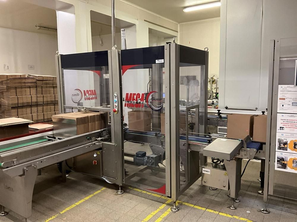 GUELT F110L - Izipick 115 GUELT – F110L / IZIPICK 115 Automatic Forming and Robotic Case-Packing Line with ABB FlexPicker Robot