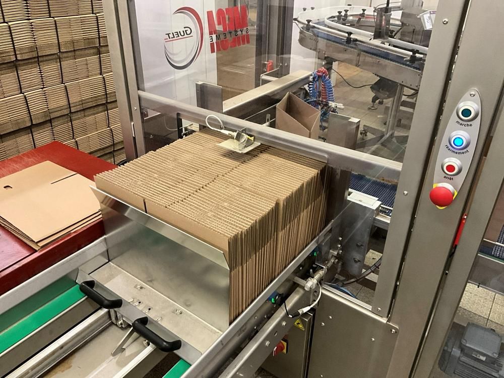 GUELT F110L - Izipick 115 GUELT – F110L / IZIPICK 115 Automatic Forming and Robotic Case-Packing Line with ABB FlexPicker Robot