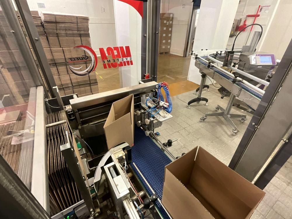 GUELT F110L - Izipick 115 GUELT – F110L / IZIPICK 115 Automatic Forming and Robotic Case-Packing Line with ABB FlexPicker Robot