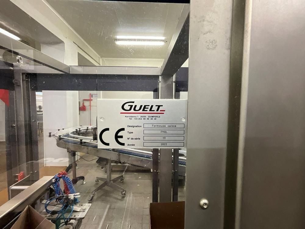 GUELT F110L - Izipick 115 GUELT – F110L / IZIPICK 115 Automatic Forming and Robotic Case-Packing Line with ABB FlexPicker Robot