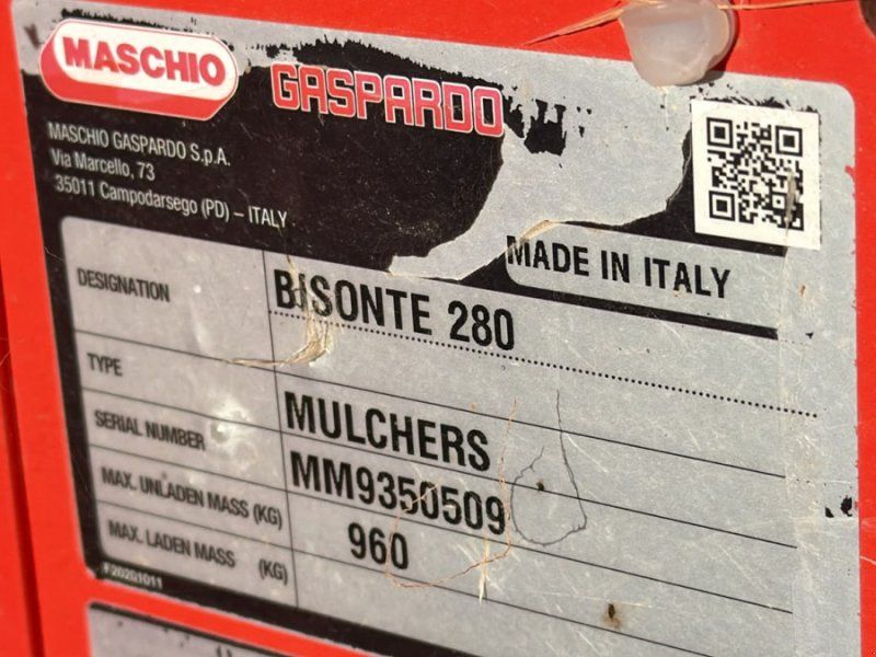 Maschio mit Verschleißblech und Beleuchtung Bisonte 280
