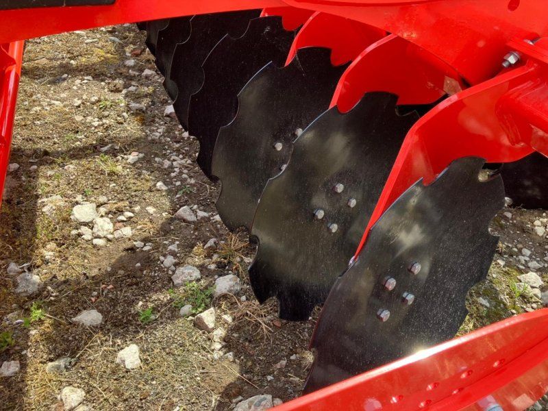 Maschio Veloce 500