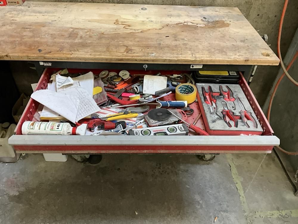 Denner mobile tooltrolley (2x)
