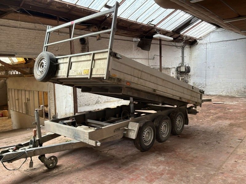 2018 Tack K35 Tridemas Kipper