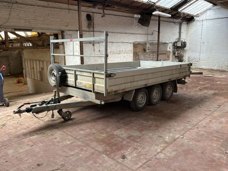 2018 Tack K35 Tridemas Kipper