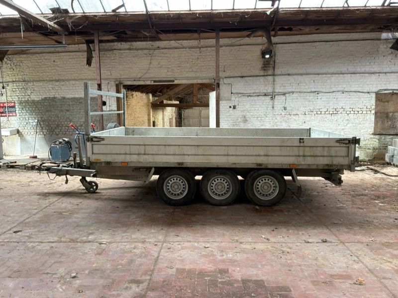 2018 Tack K35 Tridemas Kipper