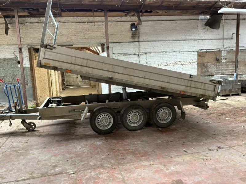 2018 Tack K35 Tridemas Kipper