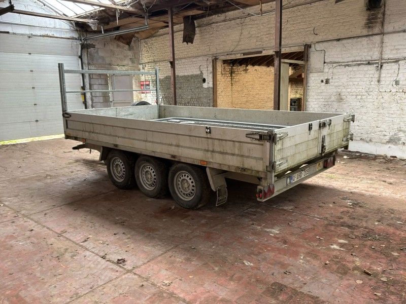 2018 Tack K35 Tridemas Kipper
