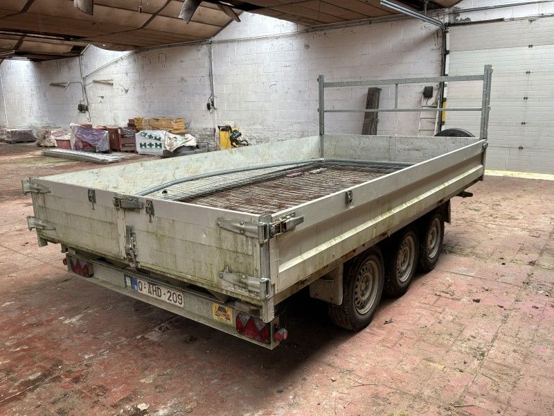 2018 Tack K35 Tridemas Kipper
