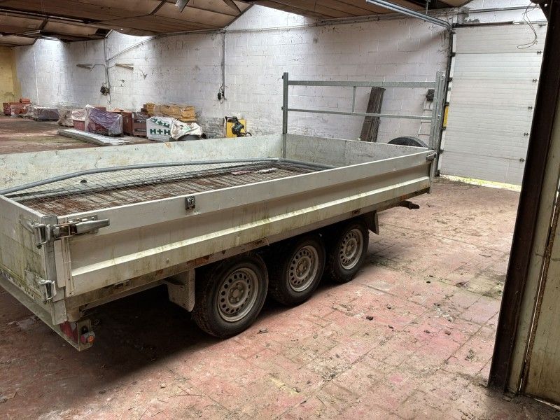 2018 Tack K35 Tridemas Kipper