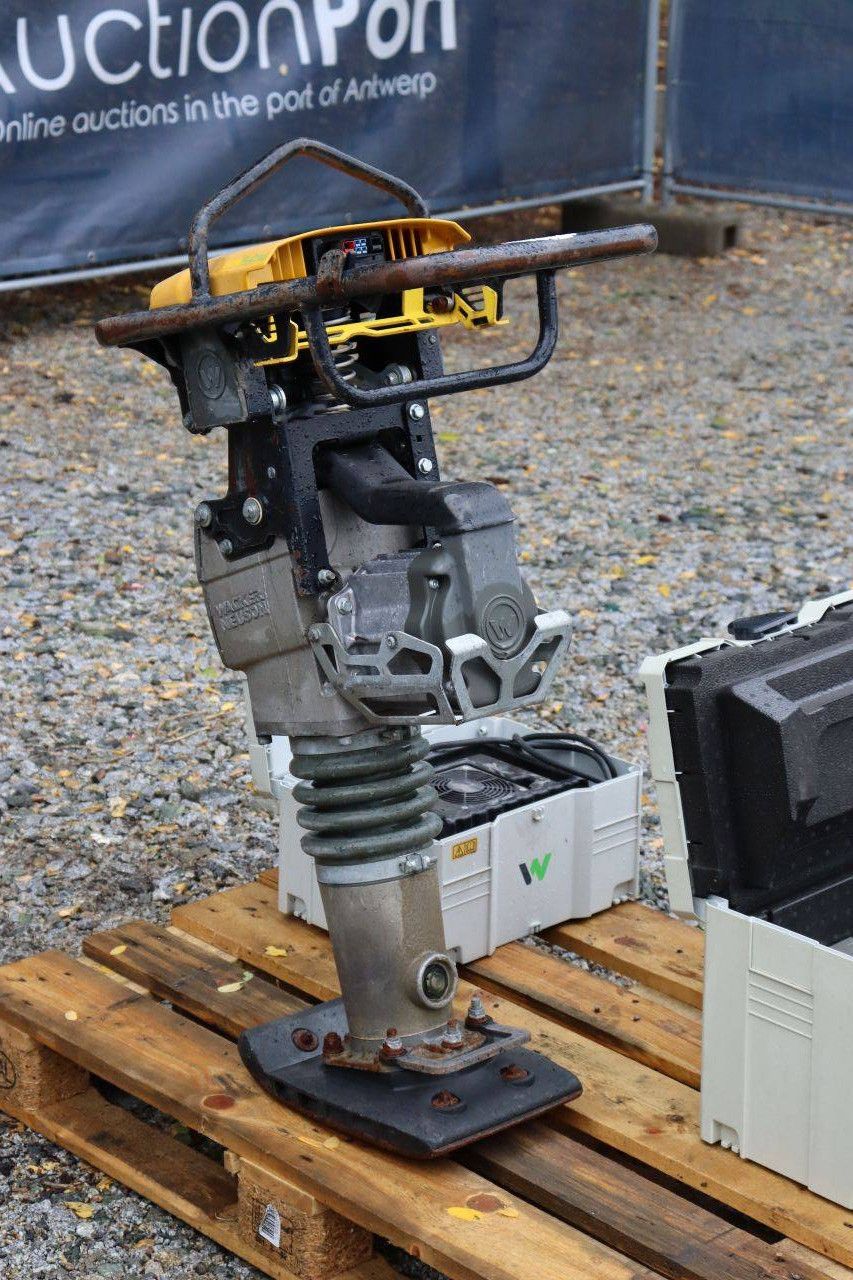 Wacker Neuson Stampfer AS50e Elektrische Vibrationsplatte 2017
