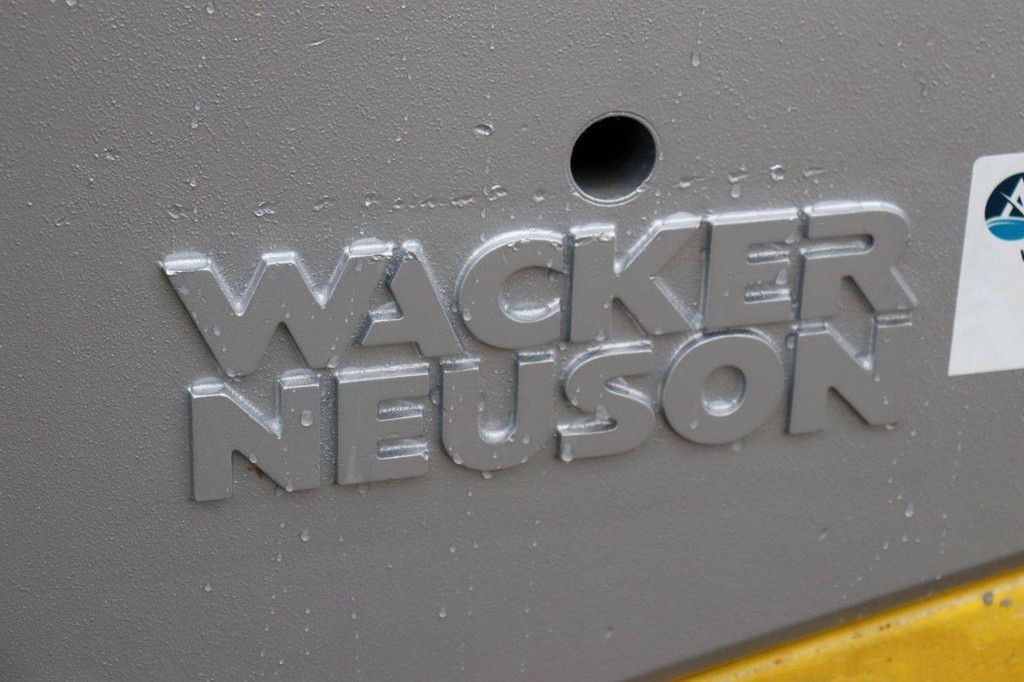 Vibratory Plate Wacker Neuson 1D81S Diesel 2017
