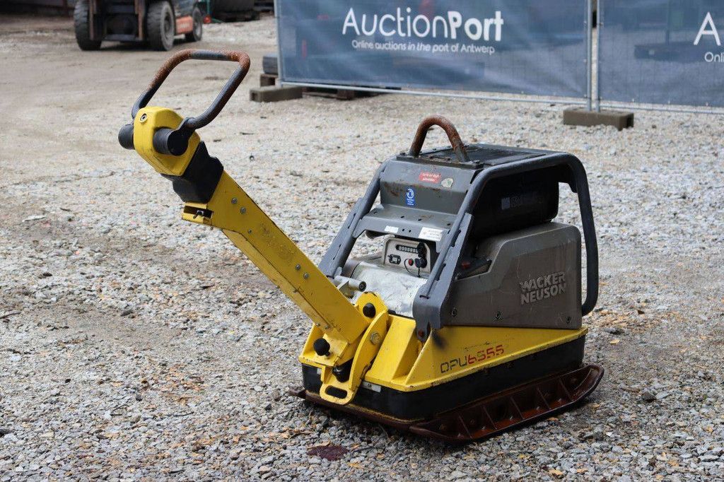 Vibrationsplattenklopfer Neuson DPU6555Hech Diesel 2017