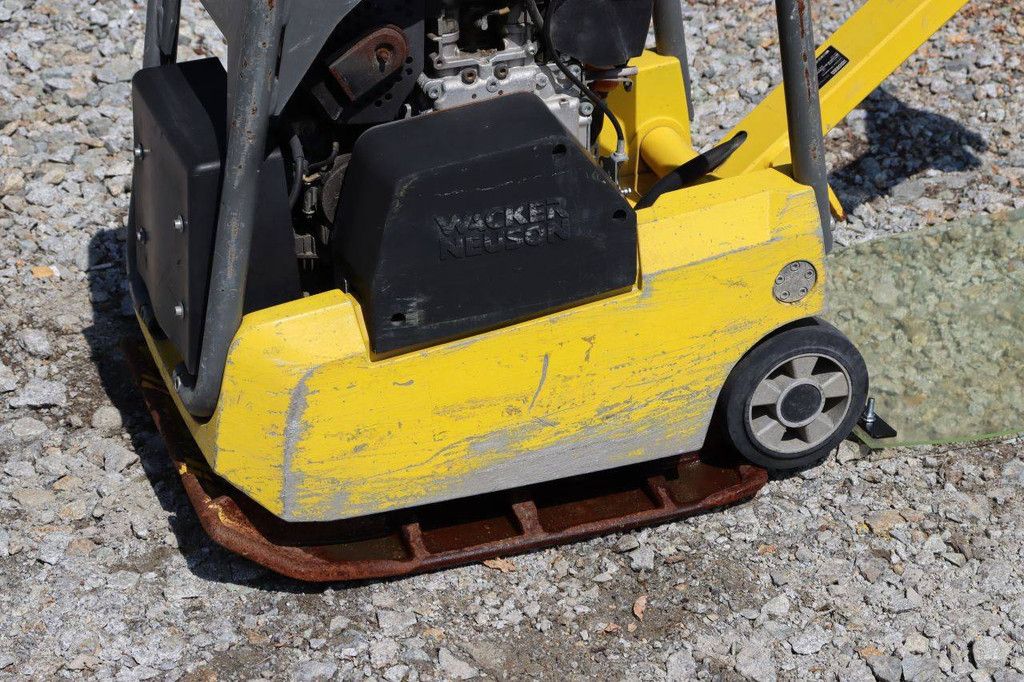 Trilplaat Wacker Neuson DPU3050 Benzine 2017