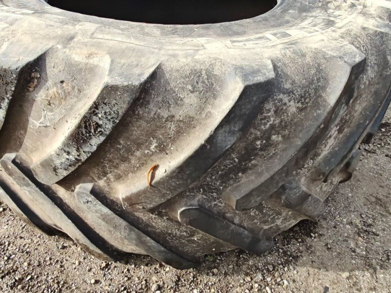 Michelin 900/60R42 XXX