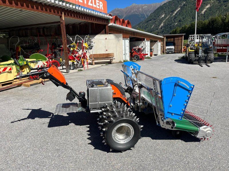Ibex G2P