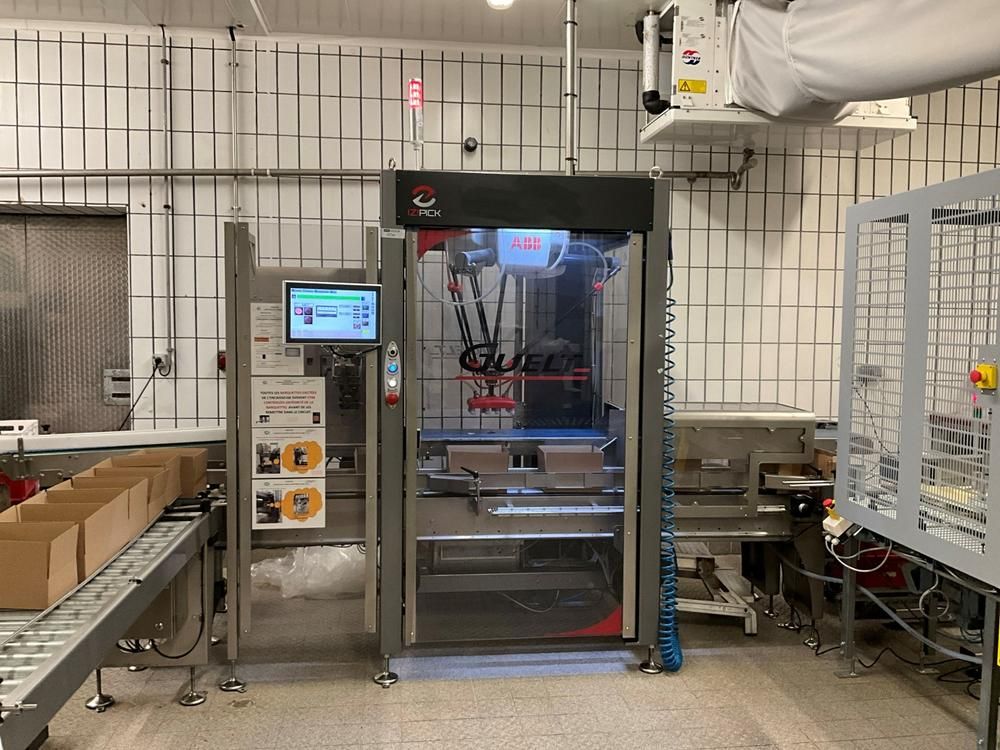 2019 GUELT Izipick 114 Robotic Case Packing Machine