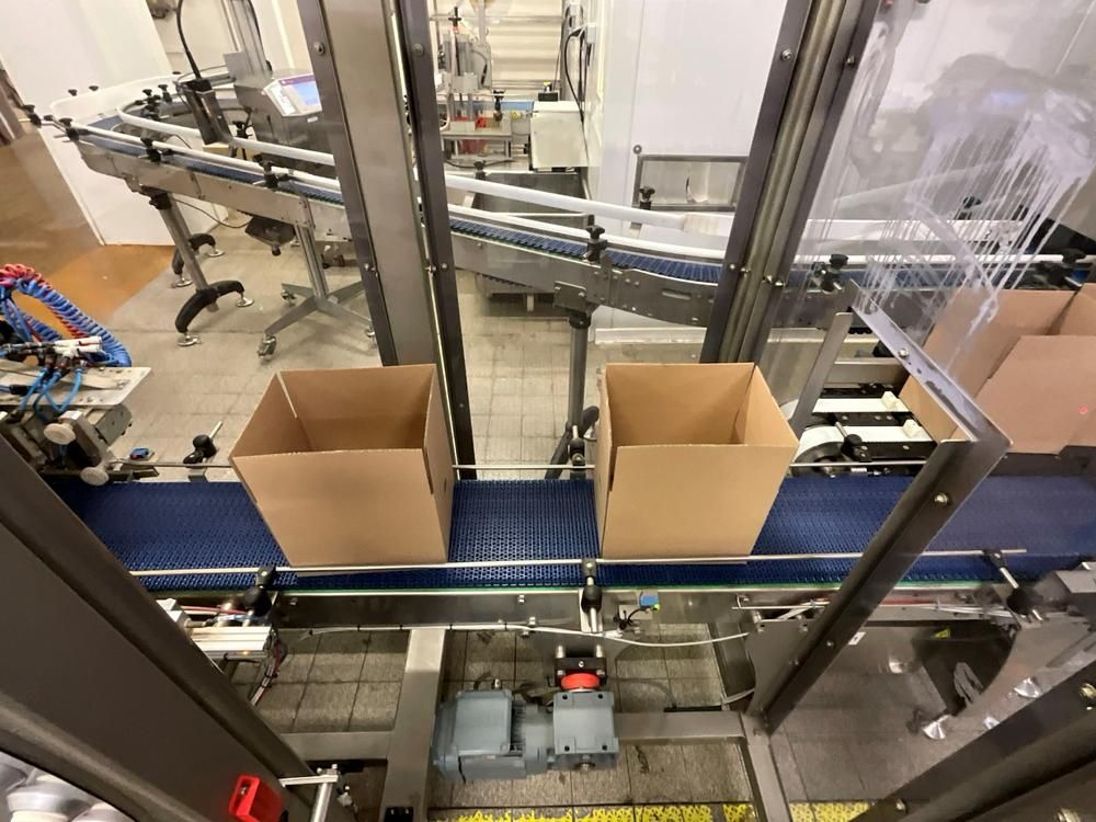 GUELT F110L - Izipick 115 GUELT – F110L / IZIPICK 115 Automatic Forming and Robotic Case Packing Line with ABB FlexPicker Robot