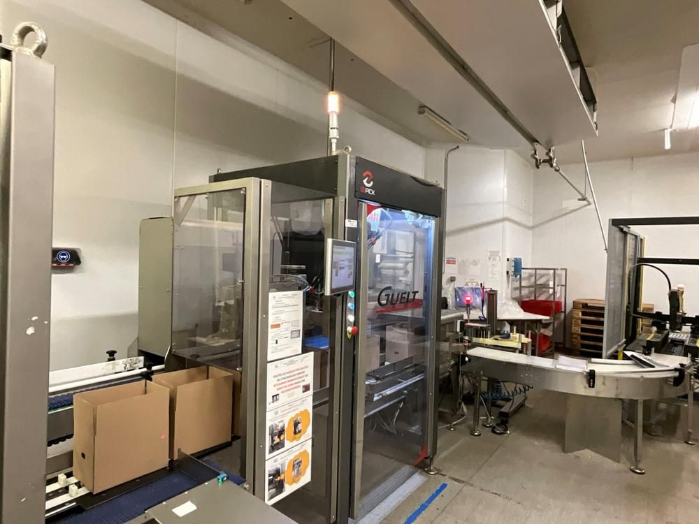 GUELT F110L - Izipick 115 GUELT – F110L / IZIPICK 115 Automatic Forming and Robotic Case Packing Line with ABB FlexPicker Robot