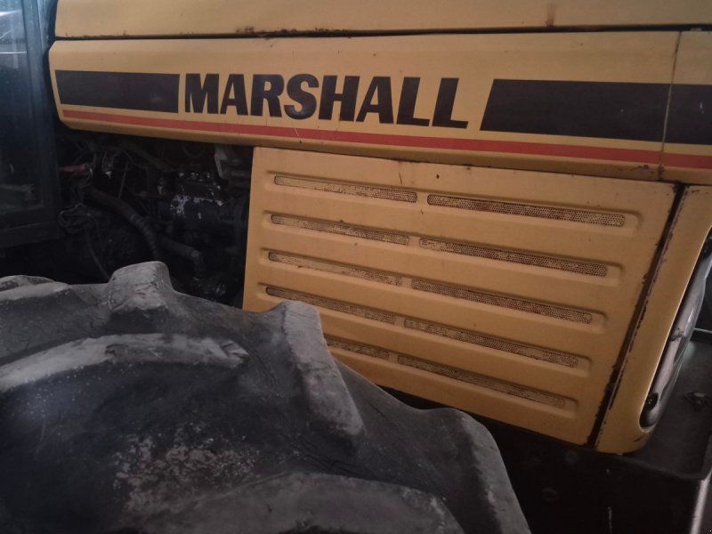 Marshall 804