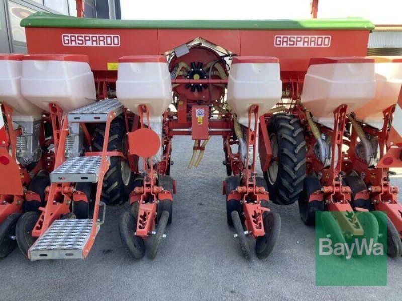 Maschio MTE R 300 6R