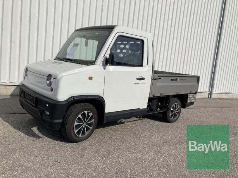 Graf Carello E-TRANSPORTER TR100
