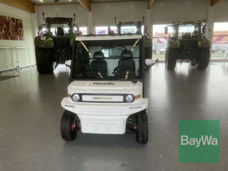 Graf Carello E-TRANSPORTER TR10
