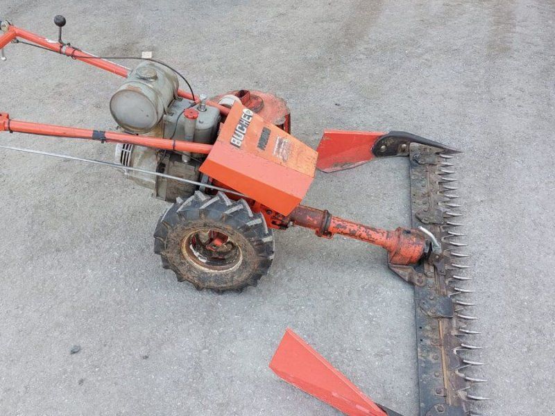Bucher M300