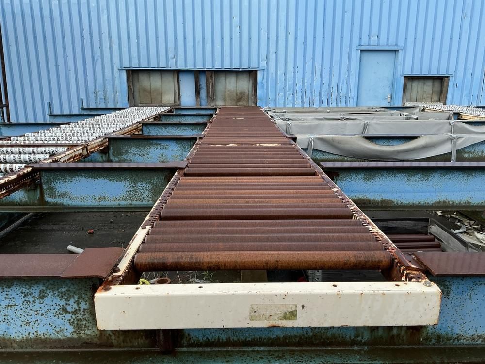 Conveyor system