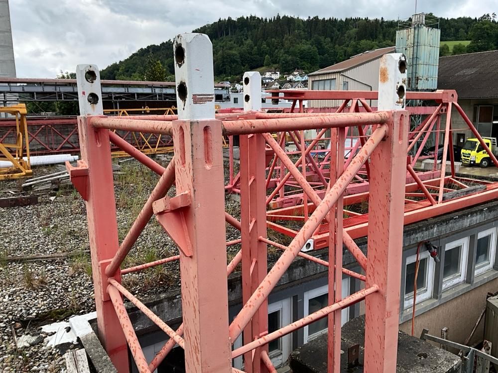 Crane section