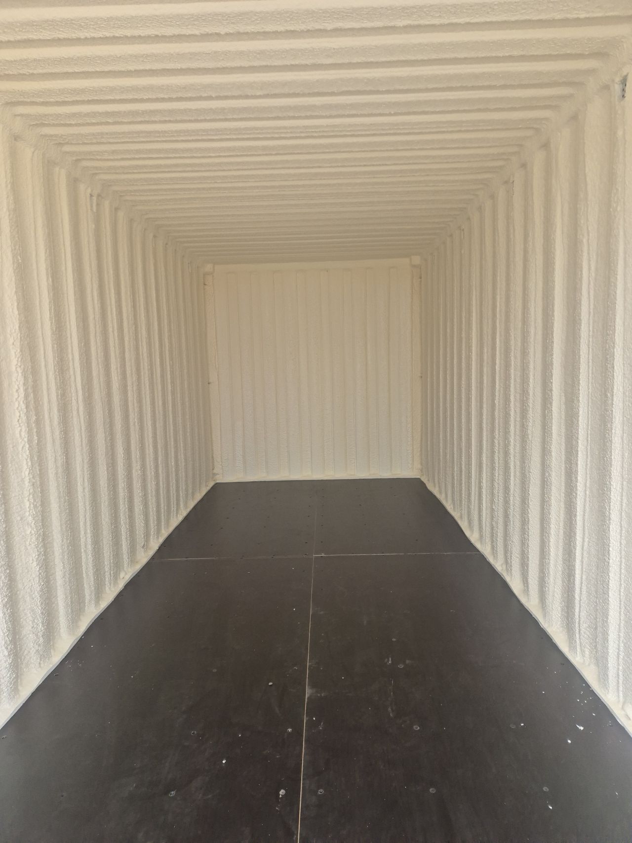 20ft zeecontainer | geïsoleerd | vochtvrij