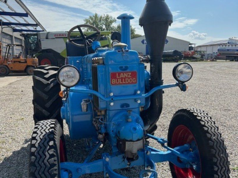 Lanz HN 3 Oldtimer Bullldog restauriert!