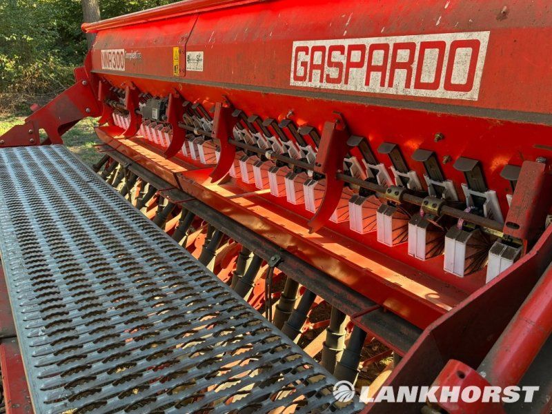 Maschio Nina 300