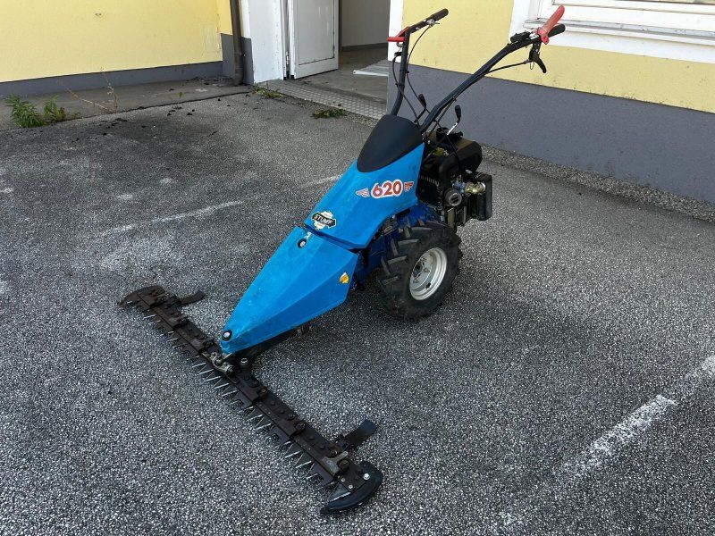 BCS 620