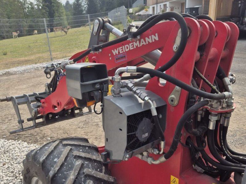 Weidemann 1880