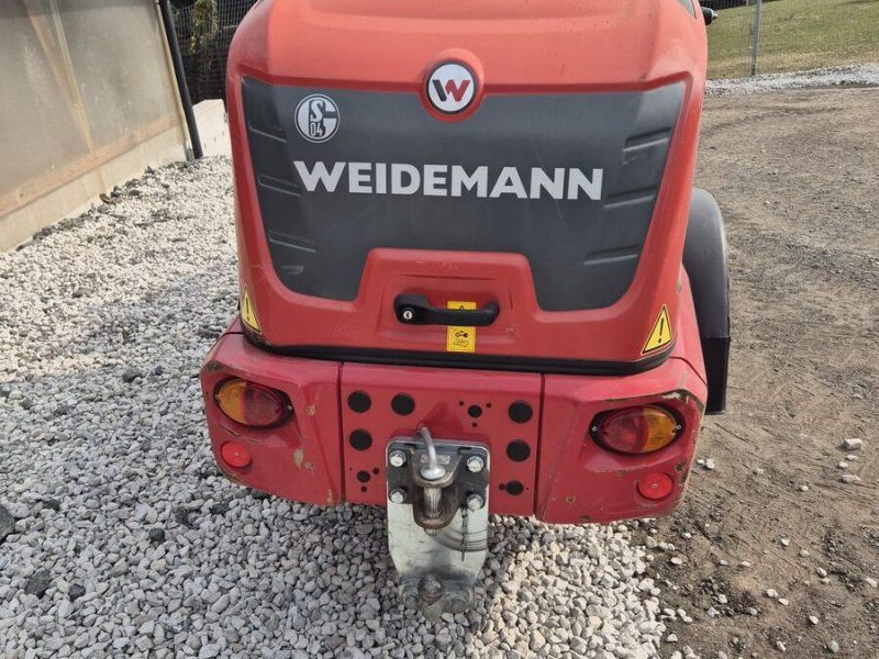 Weidemann 1880