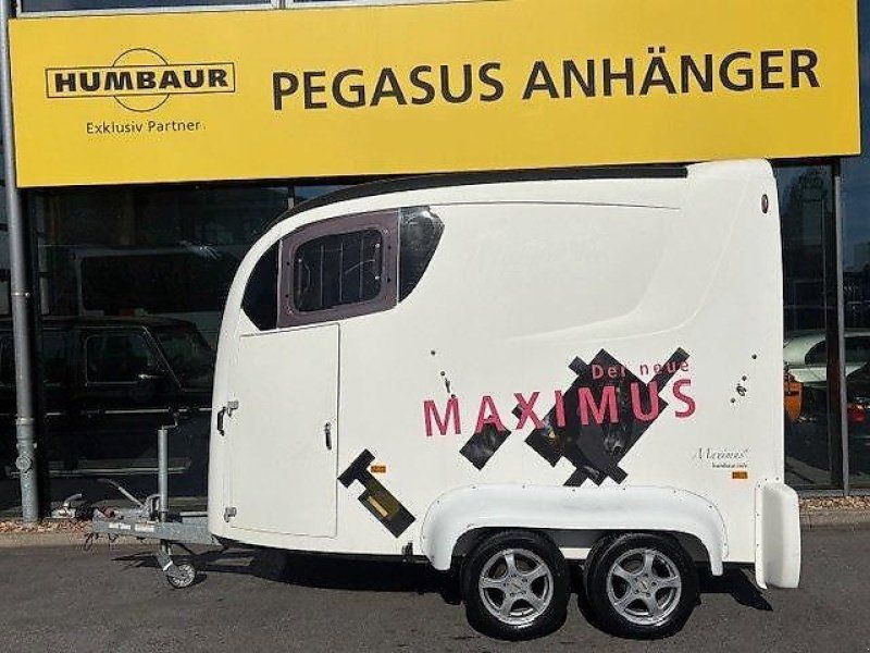 Humbaur Maximus 2 Pferde Vollpoly Aluboden 2,7t.