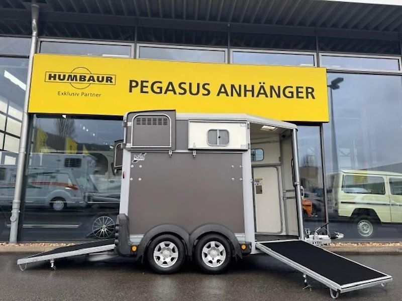 Ifor Williams HB 506 2-Pferde 2,6t FRONTAUSSTIEG
